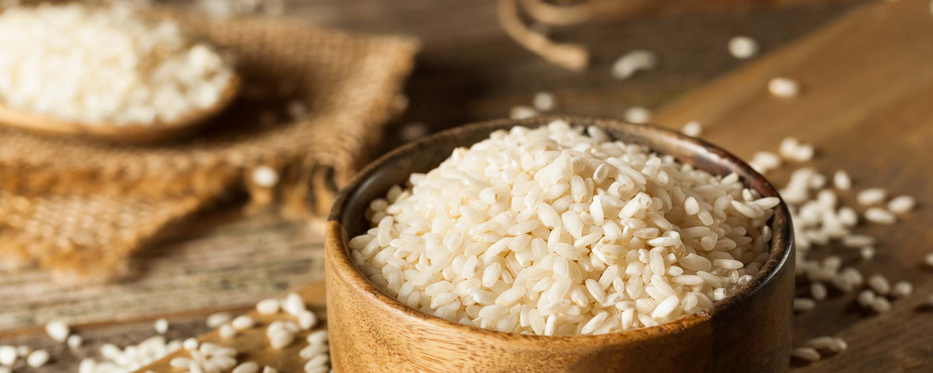 Banner-rice-educational